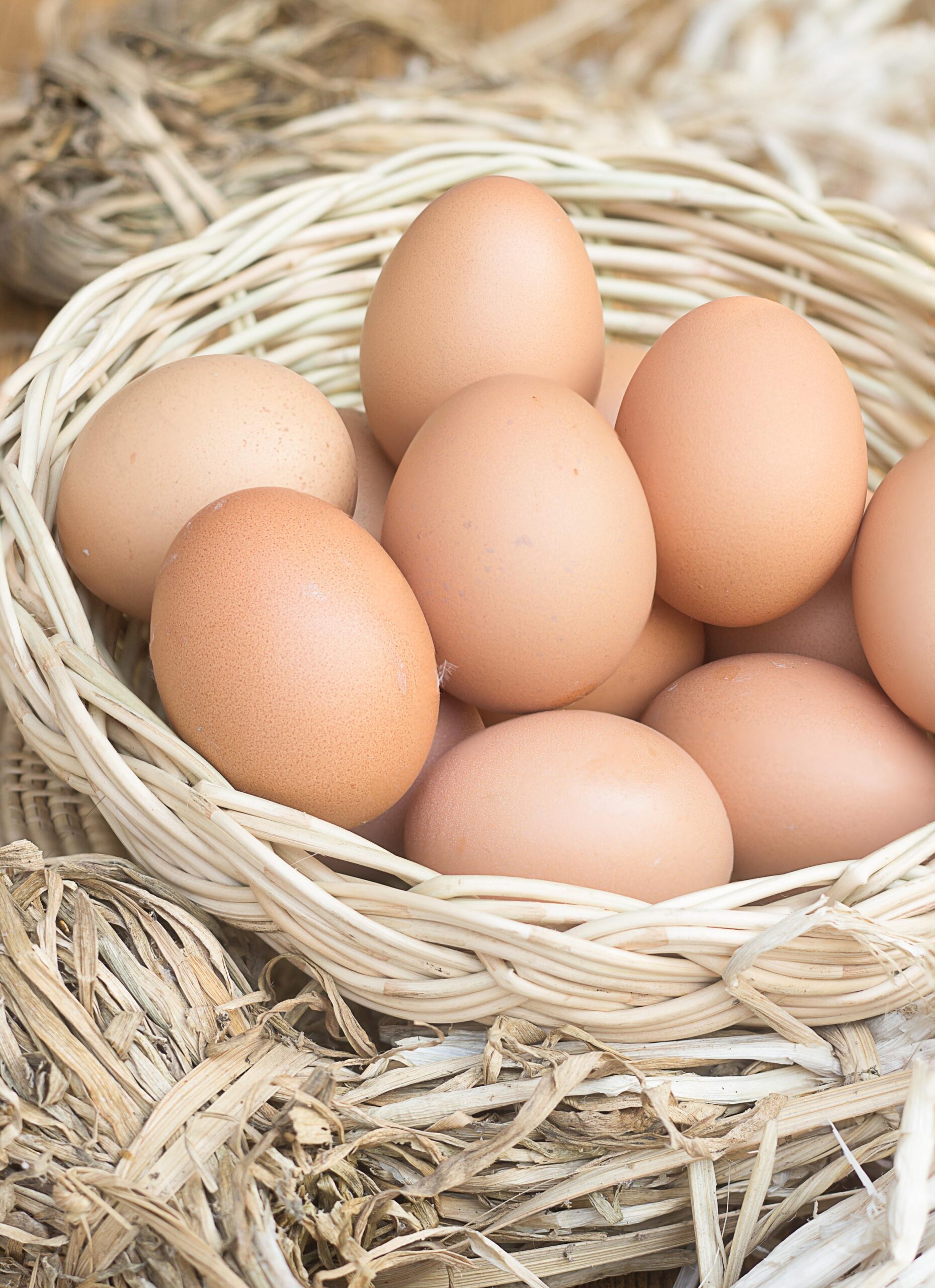 eggs-6856209 eggs-6856209